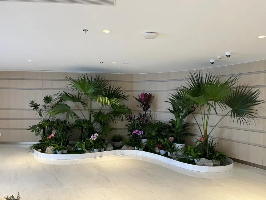 热门推荐！宁波海曙花卉租赁哪家好？